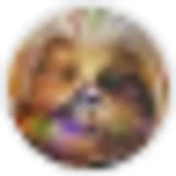 wookie_chew profile picture